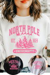 North Pole Sweatshirt