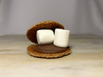 Lancaster Stroopie Co. - Stroopwafel S'more Kits: Single Serving