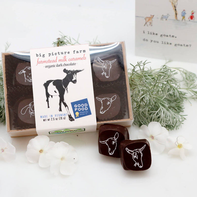 Big Picture Farm - Chocolate Covered Goat Milk Caramel: 6 piece