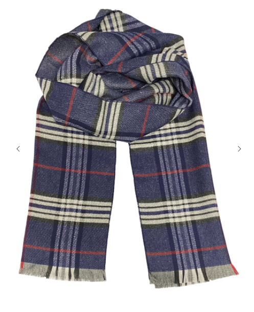 Plaid Scarf Navy/red