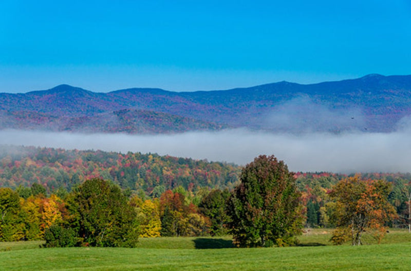 Vermont: Fall Collection