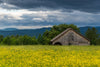 Vermont: Spring Collection