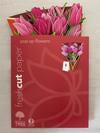 Pink Tulips - Fresh Cut Flowers
