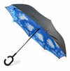 Inverted Umbrella Blue Sky