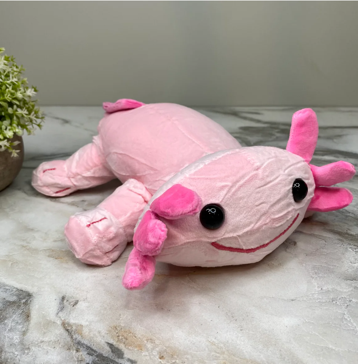 Plush Axolotl Toy