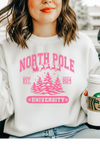 North Pole Sweatshirt