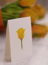 Yellow Tulips - Fresh Cut Flowers